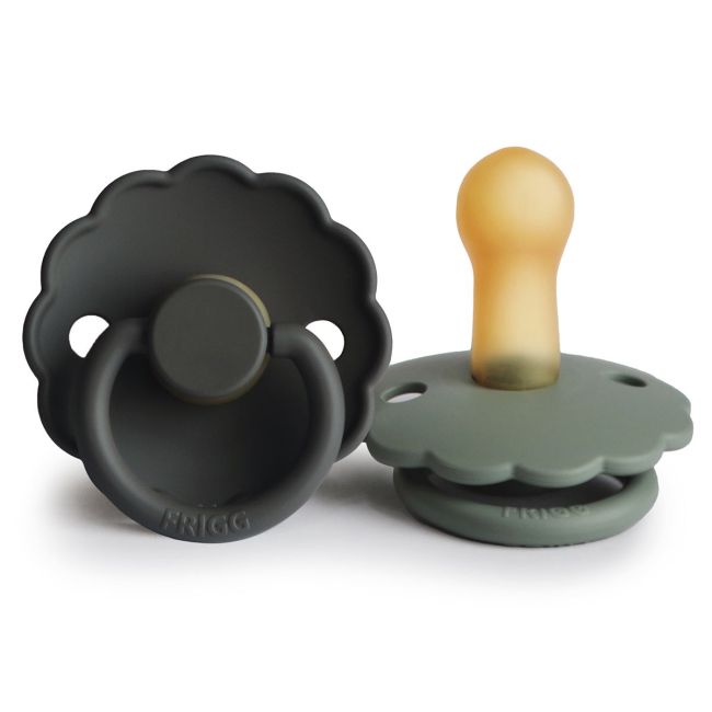 Pacchetto di 2 ciucci Block in lattice Daisy Graphite/Lily Pad 6+