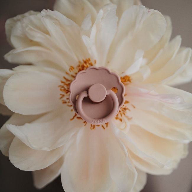 Pacchetto di 2 ciucci Block in lattice Daisy Graphite/Lily Pad 6+